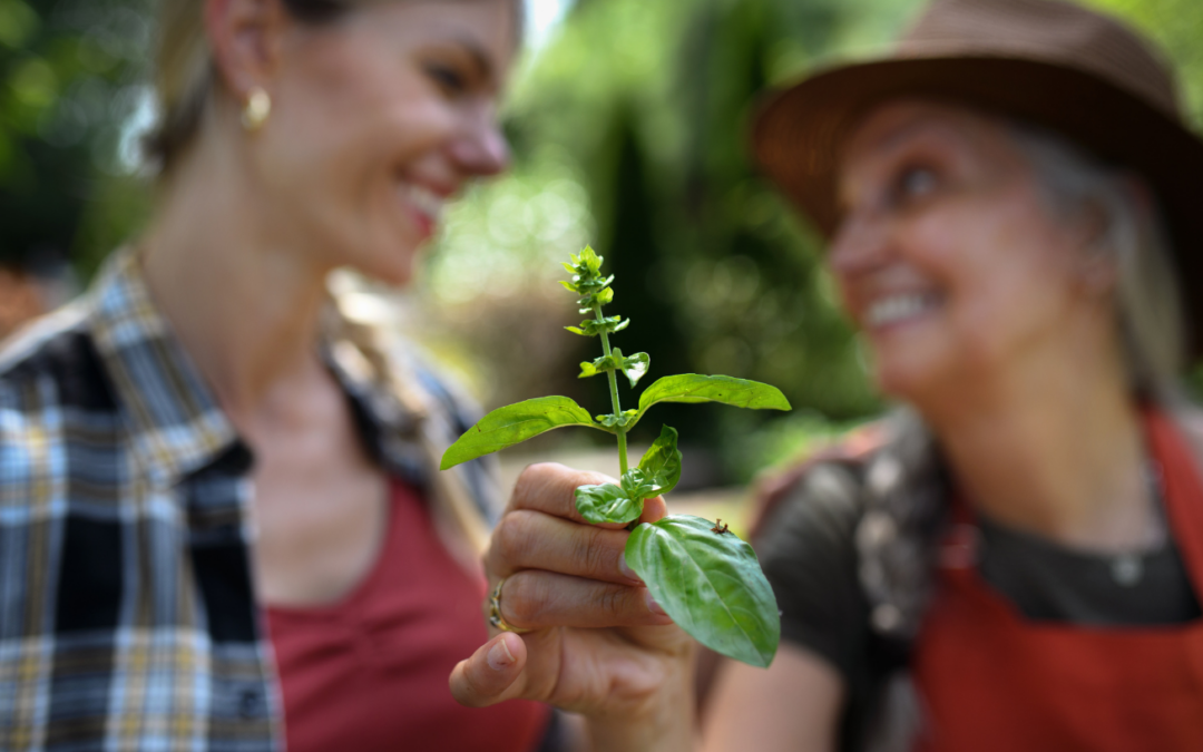 Generationsübergreifendes Lernen im Agro-Unternehmertum